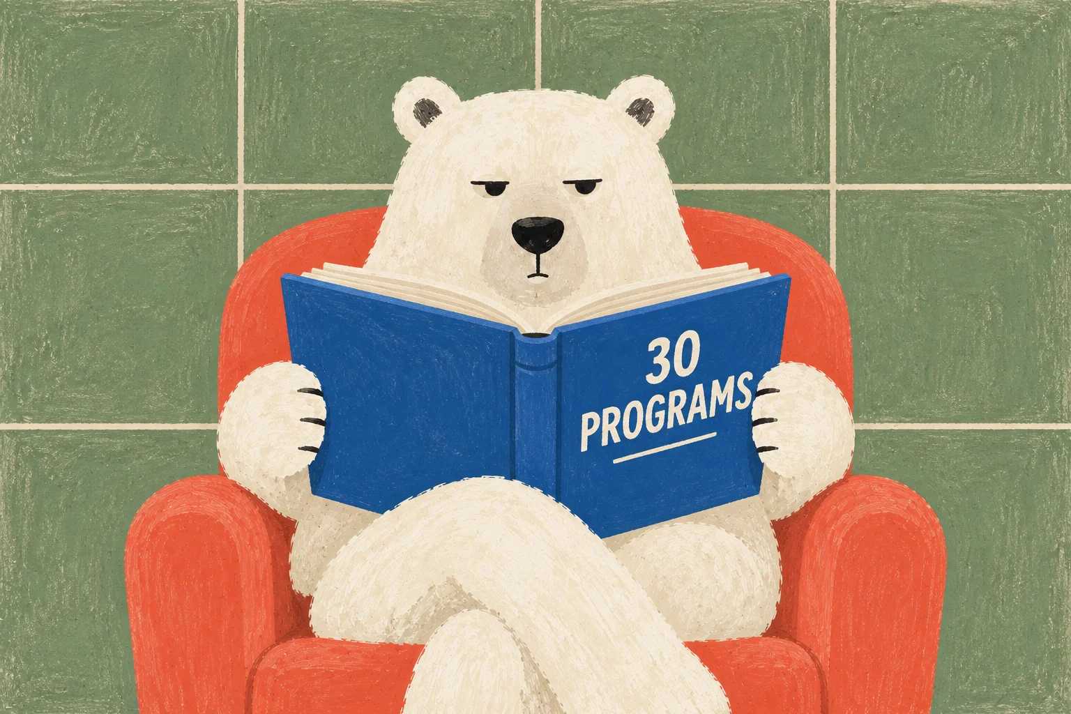 A white bear reading a blue book titled 30 Programs.